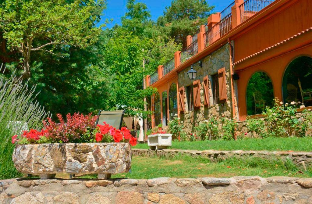 Hospedium Hostal Almanzor Navarredonda de Gredos Εξωτερικό φωτογραφία