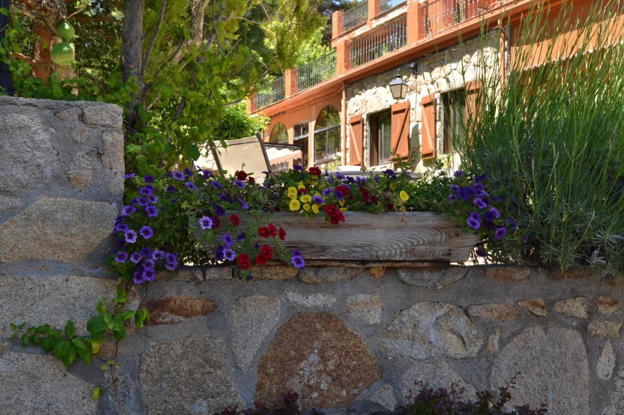 Hospedium Hostal Almanzor Navarredonda de Gredos Εξωτερικό φωτογραφία