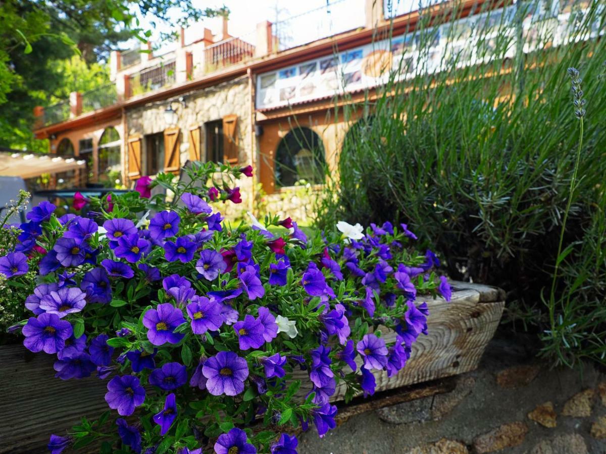 Hospedium Hostal Almanzor Navarredonda de Gredos Εξωτερικό φωτογραφία