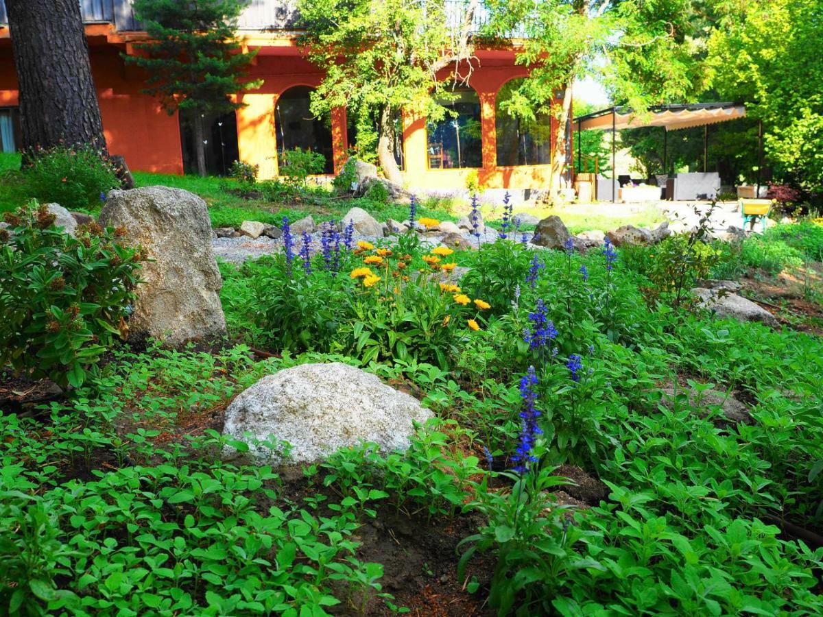 Hospedium Hostal Almanzor Navarredonda de Gredos Εξωτερικό φωτογραφία